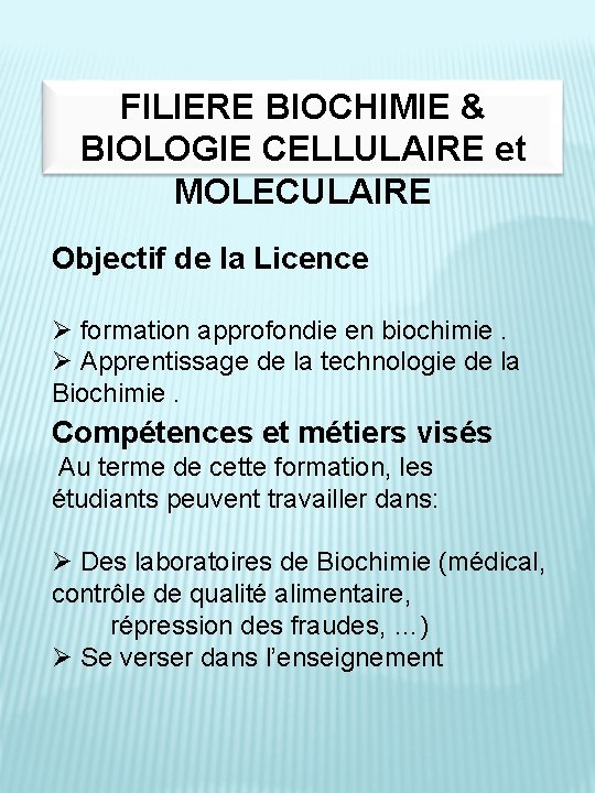 FILIERE BIOCHIMIE & BIOLOGIE CELLULAIRE et MOLECULAIRE Objectif de la Licence Ø formation approfondie