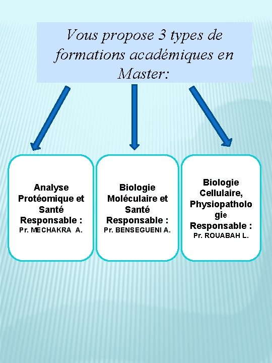 Vous propose 3 types de formations académiques en Master: Analyse Protéomique et Santé Responsable