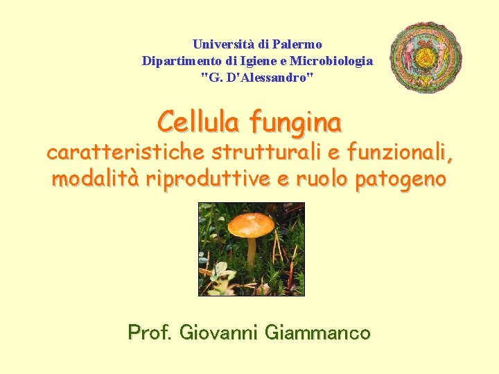 Università di Palermo Dipartimento di Igiene e Microbiologia "G. D'Alessandro" Cellula fungina caratteristiche strutturali
