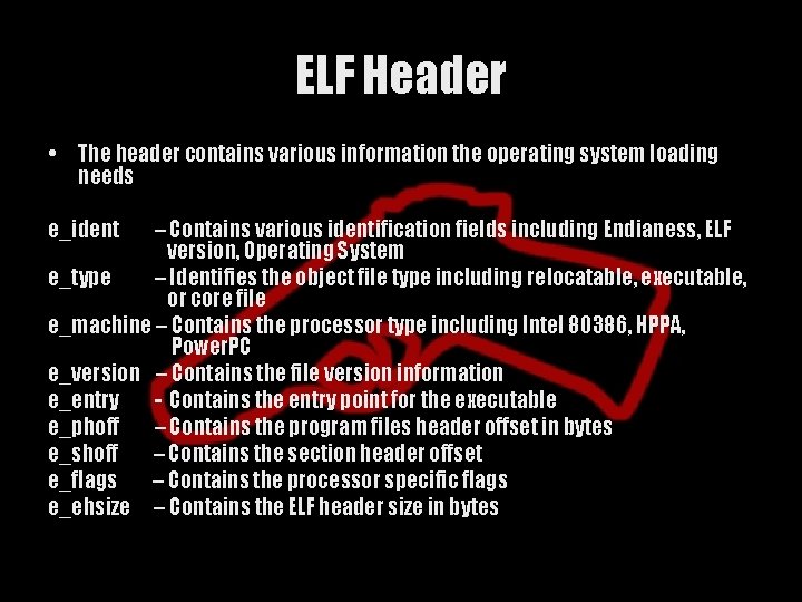 ELF Header • The header contains various information the operating system loading needs e_ident