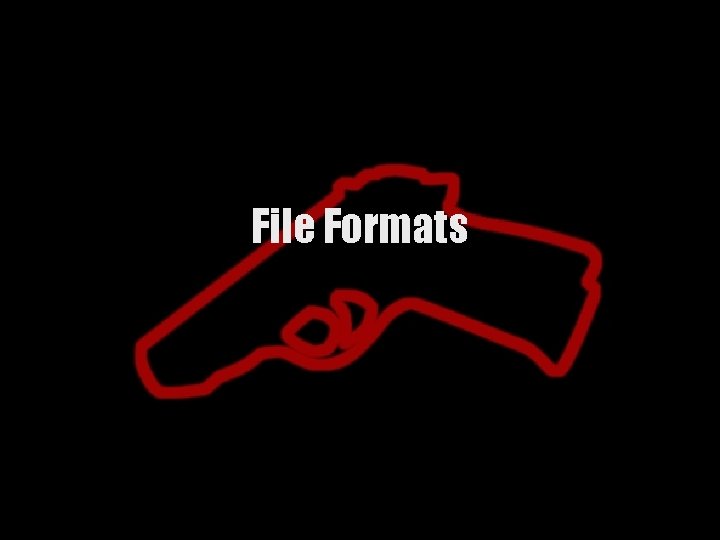 File Formats 