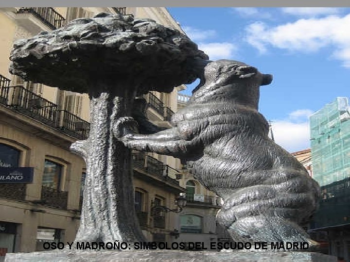 OSO Y MADROÑO: SIMBOLOS DEL ESCUDO DE MADRID 