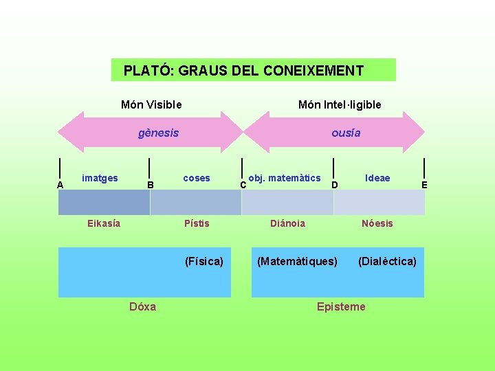 PLATÓ: GRAUS DEL CONEIXEMENT Món Visible Món Intel·ligible gènesis A imatges B Eikasía ousía