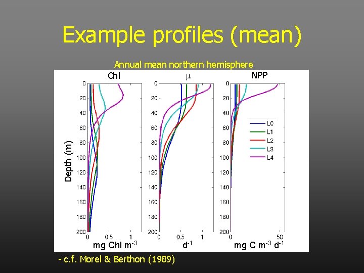 Example profiles (mean) Depth (m) Annual mean northern hemisphere m NPP Chl mg Chl