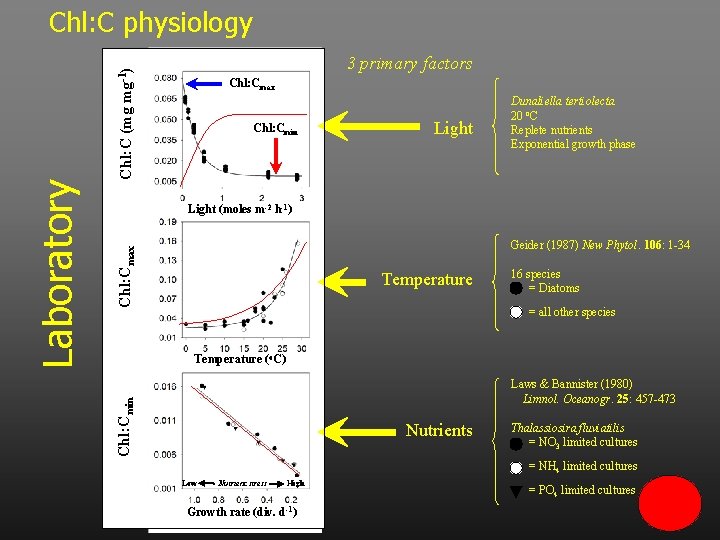 Chl: C (mg mg-1) 3 primary factors Chl: Cmax Chl: Cmin Light Dunaliella tertiolecta