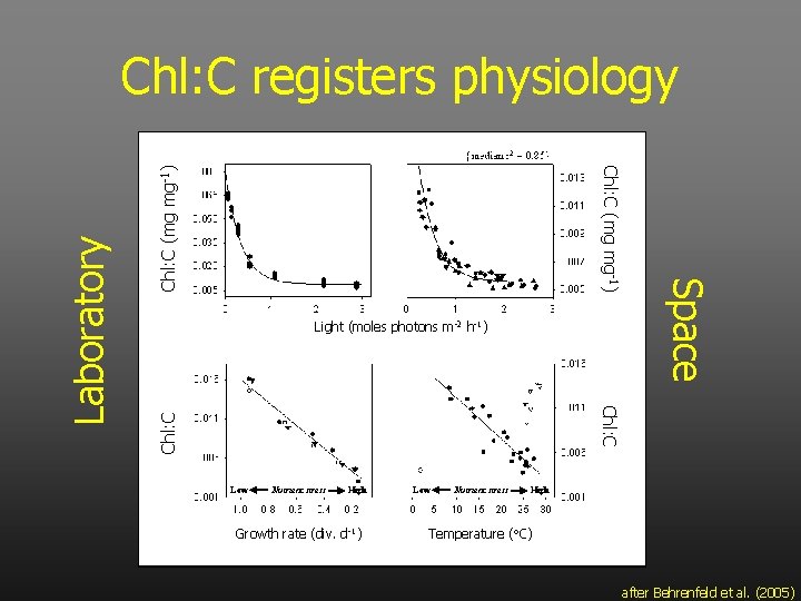 Chl: C (mg mg-1) Light (moles photons m -2 h-1) Space Chl: C (mg