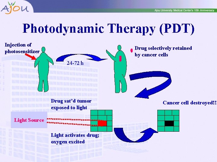 Photodynamic Therapy (PDT) Injection of photosensitizer Drug selectively retained by cancer cells 24 -72