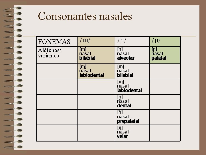 Consonantes nasales FONEMAS /m/ /n/ /ɲ/ Alófonos/ variantes [m] nasal bilabial [n] nasal alveolar