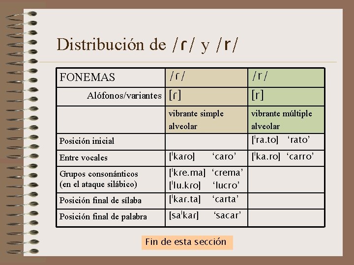Distribución de /ɾ/ y /r/ FONEMAS Alófonos/variantes /ɾ/ /r/ [ɾ] [r] vibrante simple alveolar