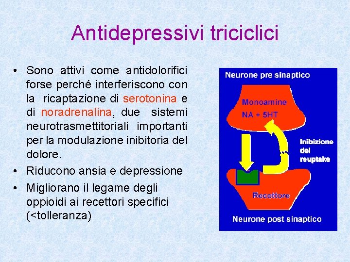 Antidepressivi triciclici • Sono attivi come antidolorifici forse perché interferiscono con la ricaptazione di
