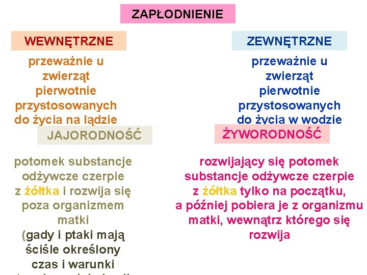 ZAPŁODNIENIE WEWNĘTRZNE przeważnie u zwierząt pierwotnie przystosowanych do życia na lądzie JAJORODNOŚĆ potomek substancje