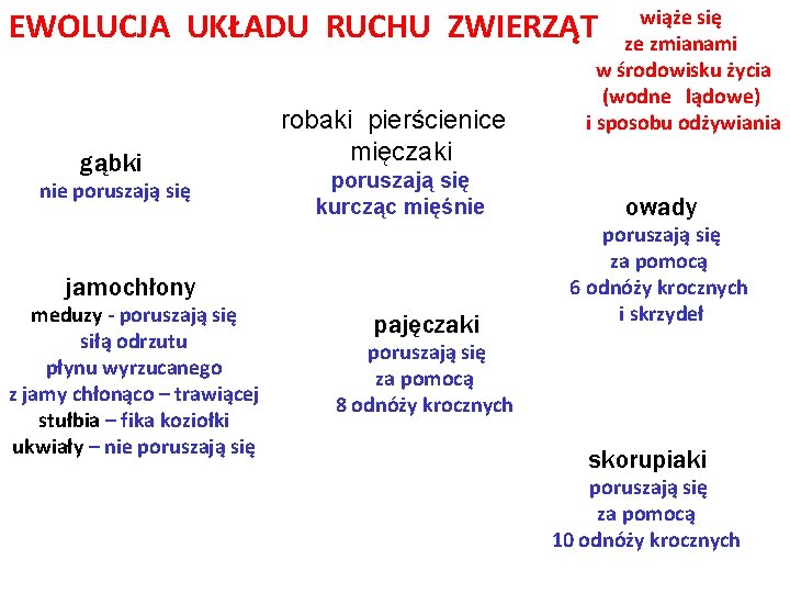 EWOLUCJA UKŁADU RUCHU ZWIERZĄT gąbki nie poruszają się robaki pierścienice mięczaki poruszają się kurcząc