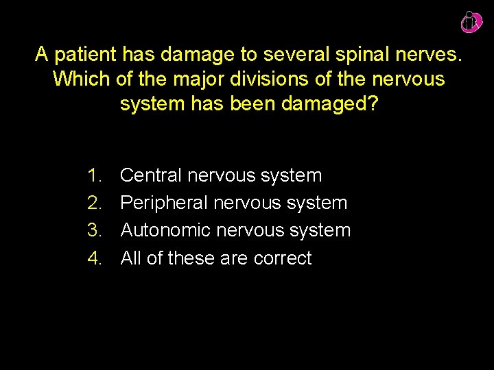 A patient has damage to several spinal nerves. Which of the major divisions of