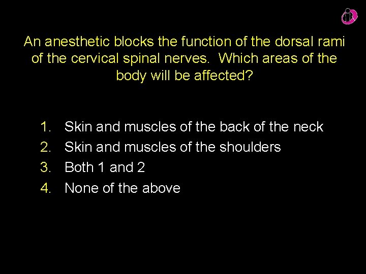 An anesthetic blocks the function of the dorsal rami of the cervical spinal nerves.