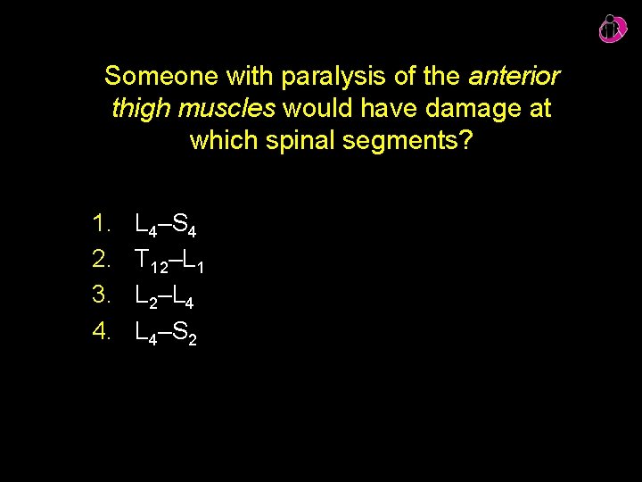 Someone with paralysis of the anterior thigh muscles would have damage at which spinal