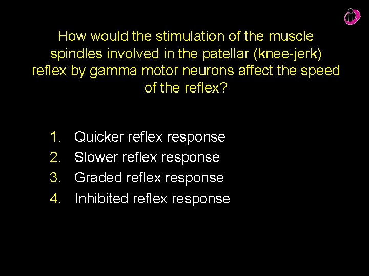 How would the stimulation of the muscle spindles involved in the patellar (knee-jerk) reflex