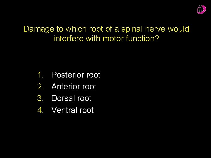 Damage to which root of a spinal nerve would interfere with motor function? 1.