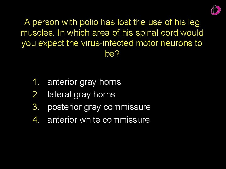 A person with polio has lost the use of his leg muscles. In which