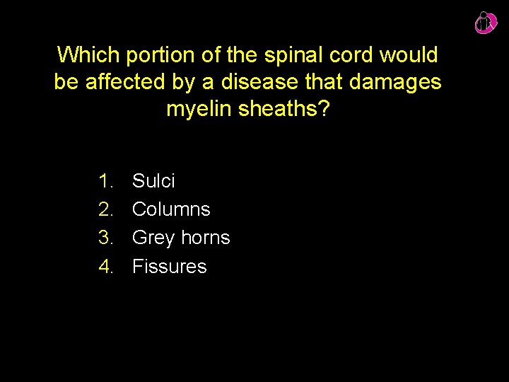 Which portion of the spinal cord would be affected by a disease that damages