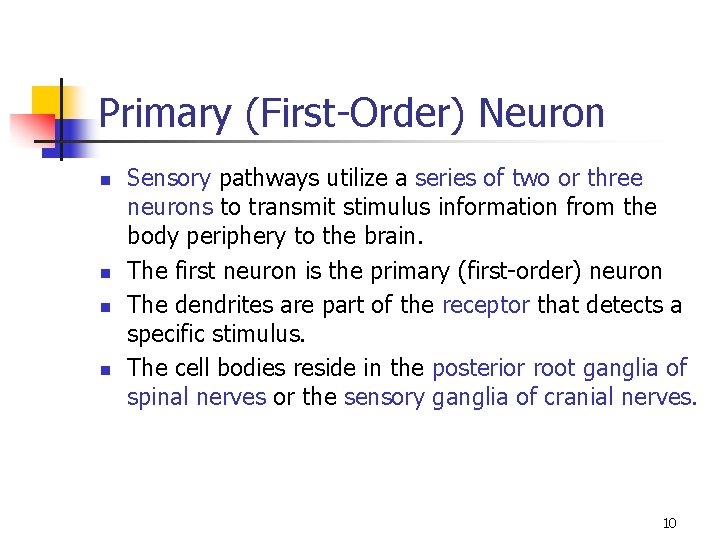 Primary (First-Order) Neuron n n Sensory pathways utilize a series of two or three