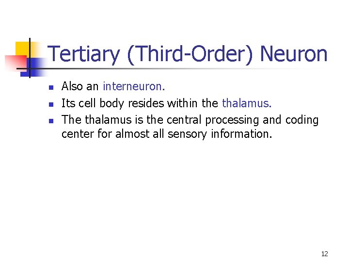 Tertiary (Third-Order) Neuron n Also an interneuron. Its cell body resides within the thalamus.