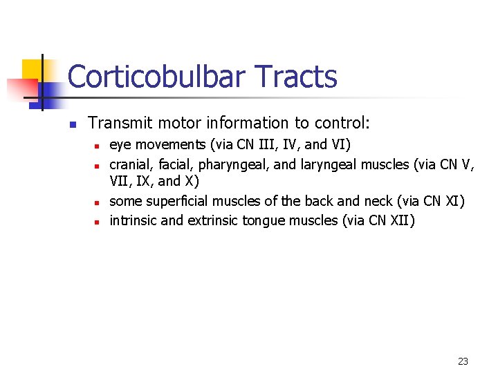 Corticobulbar Tracts n Transmit motor information to control: n n eye movements (via CN