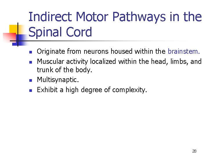 Indirect Motor Pathways in the Spinal Cord n n Originate from neurons housed within