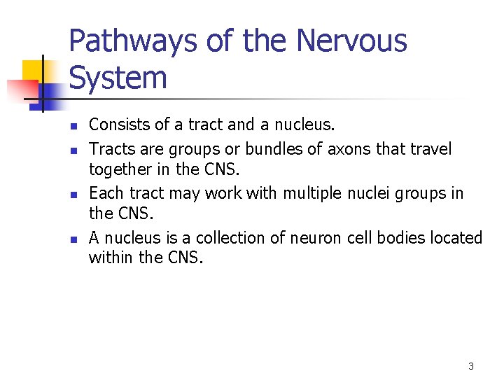 Pathways of the Nervous System n n Consists of a tract and a nucleus.
