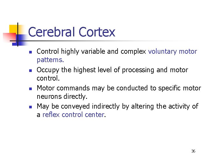 Cerebral Cortex n n Control highly variable and complex voluntary motor patterns. Occupy the