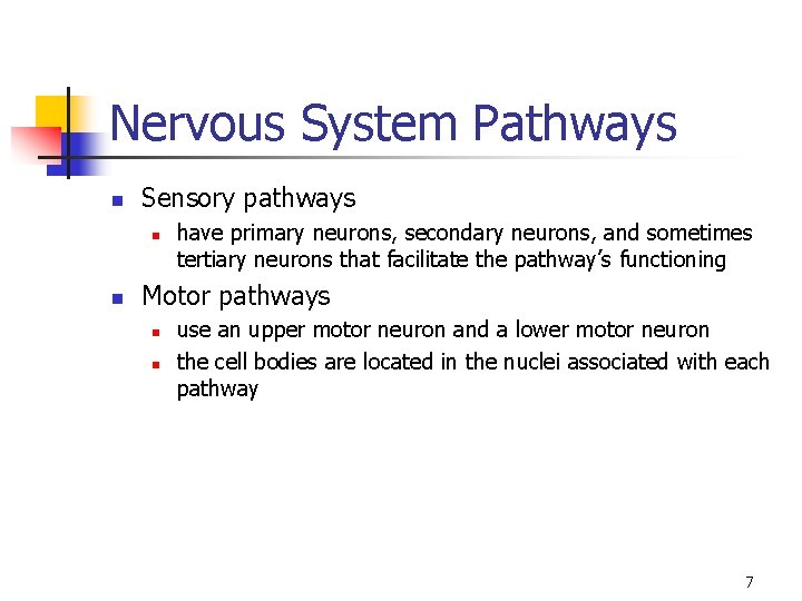 Nervous System Pathways n Sensory pathways n n have primary neurons, secondary neurons, and