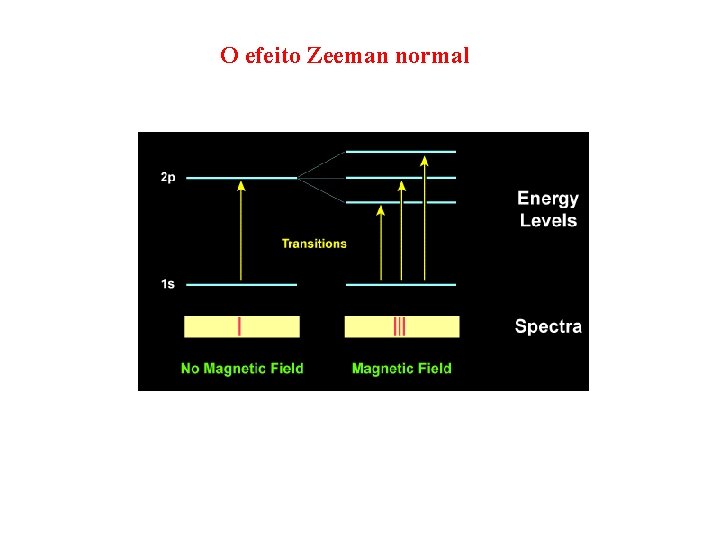 O efeito Zeeman normal 