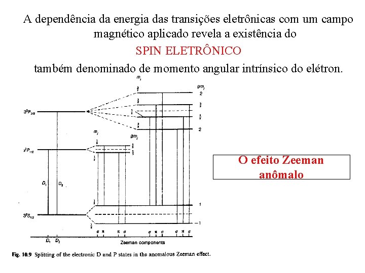 A dependência da energia das transições eletrônicas com um campo magnético aplicado revela a