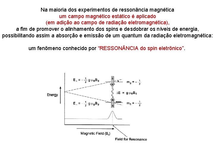 Na maioria dos experimentos de ressonância magnética um campo magnético estático é aplicado (em