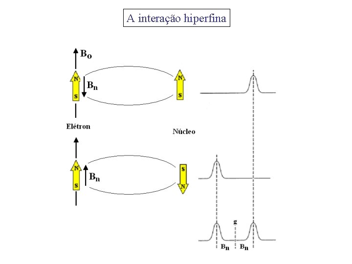 A interação hiperfina 