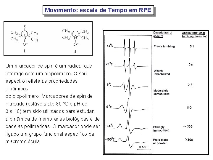 Movimento: escala de Tempo em RPE Um marcador de spin é um radical que