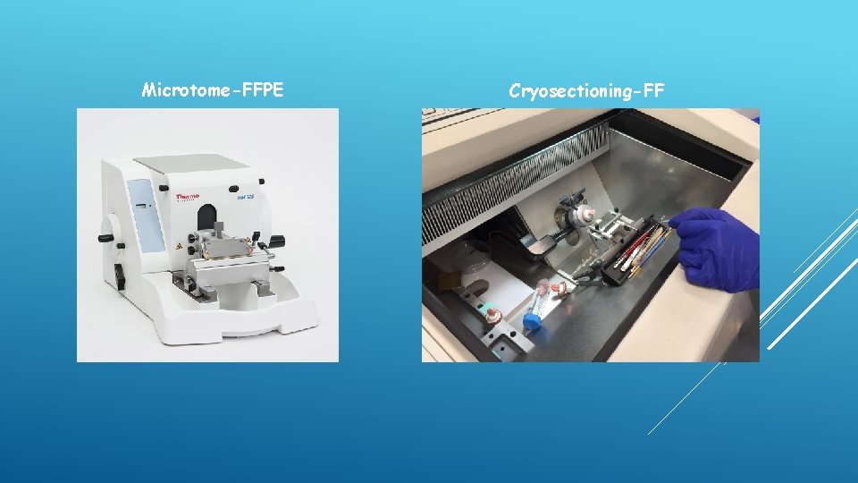 Microtome-FFPE Cryosectioning-FF 