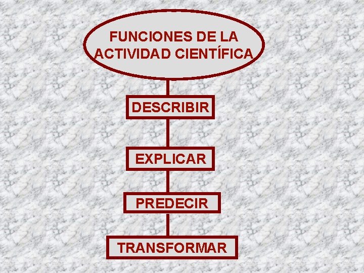 FUNCIONES DE LA ACTIVIDAD CIENTÍFICA DESCRIBIR EXPLICAR PREDECIR TRANSFORMAR 