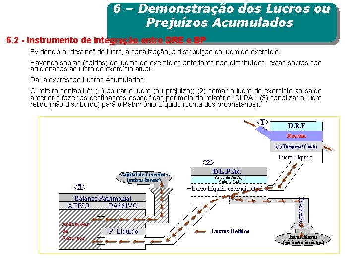 6 – Demonstração dos Lucros ou Prejuízos Acumulados 6. 2 - Instrumento de integração