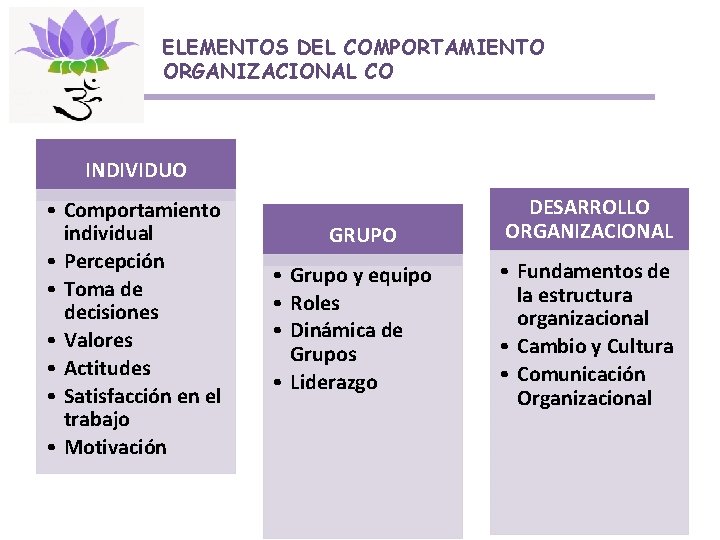 ELEMENTOS DEL COMPORTAMIENTO ORGANIZACIONAL CO INDIVIDUO • Comportamiento individual • Percepción • Toma de