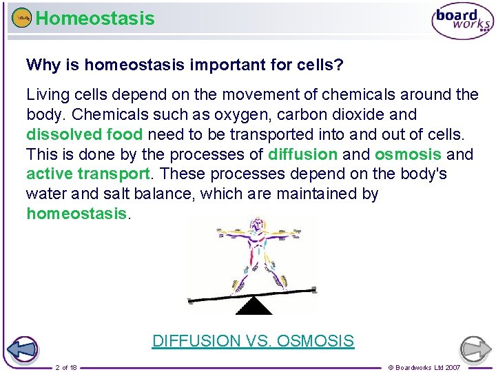 Homeostasis Why is homeostasis important for cells? Living cells depend on the movement of