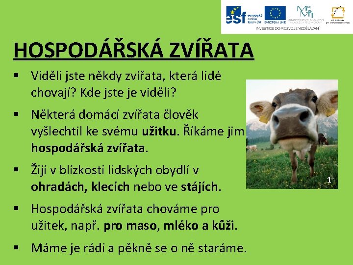 HOSPODÁŘSKÁ ZVÍŘATA § Viděli jste někdy zvířata, která lidé chovají? Kde jste je viděli?