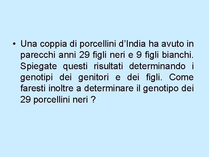 • Una coppia di porcellini d’India ha avuto in parecchi anni 29 figli • Una coppia di porcellini d’India ha avuto in parecchi anni 29 figli