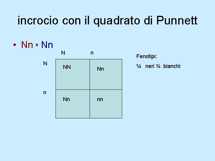 incrocio con il quadrato di Punnett • Nn Nn X N N n Fenotipi: incrocio con il quadrato di Punnett • Nn Nn X N N n Fenotipi: