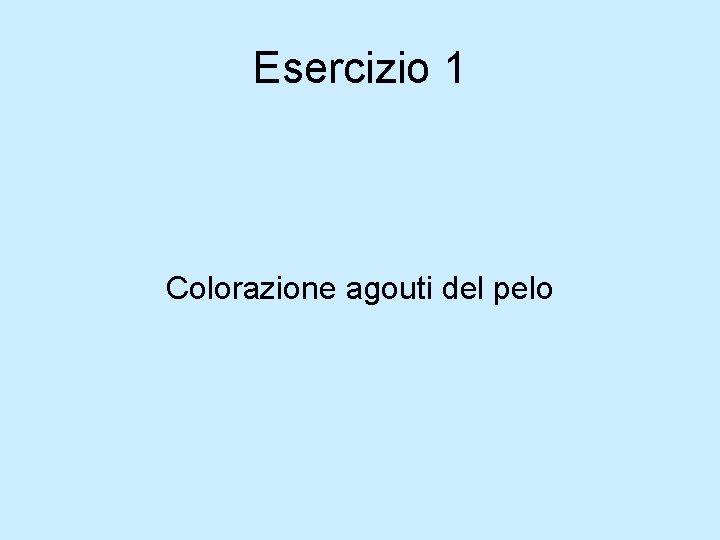 Esercizio 1 Colorazione agouti del pelo Esercizio 1 Colorazione agouti del pelo