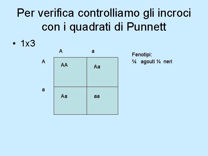 Per verifica controlliamo gli incroci con i quadrati di Punnett • 1 x 3 Per verifica controlliamo gli incroci con i quadrati di Punnett • 1 x 3