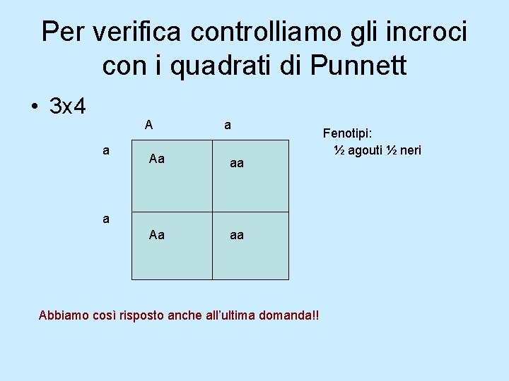 Per verifica controlliamo gli incroci con i quadrati di Punnett • 3 x 4 Per verifica controlliamo gli incroci con i quadrati di Punnett • 3 x 4