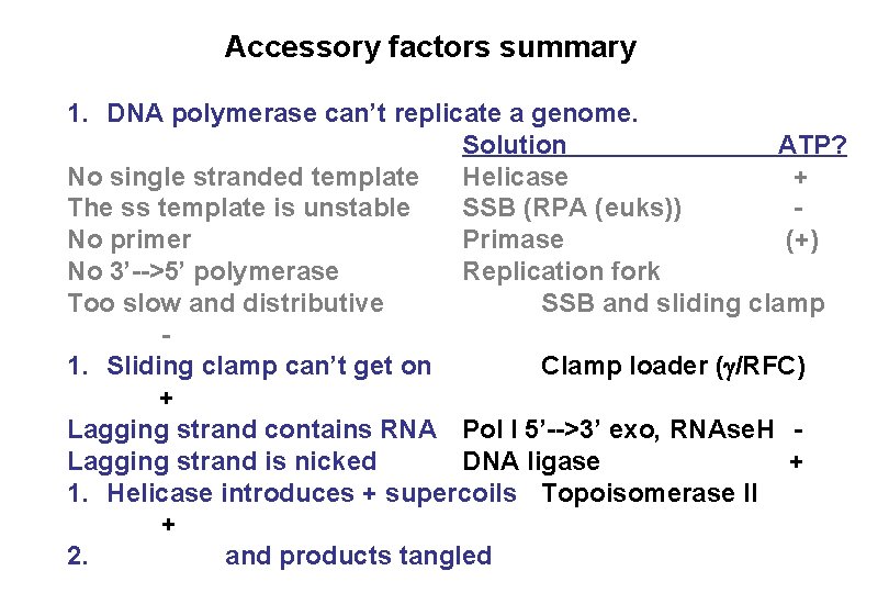 Accessory factors summary 1. DNA polymerase can’t replicate a genome. Solution ATP? No single Accessory factors summary 1. DNA polymerase can’t replicate a genome. Solution ATP? No single