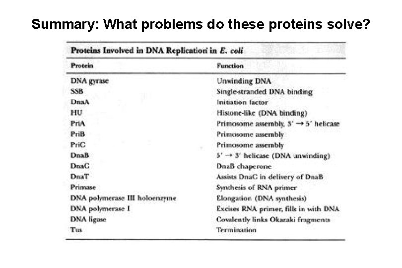 Summary: What problems do these proteins solve? Tyr OH attacks PO 4 and forms Summary: What problems do these proteins solve? Tyr OH attacks PO 4 and forms