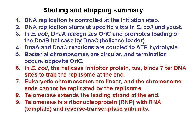Starting and stopping summary 1. DNA replication is controlled at the initiation step. 2. Starting and stopping summary 1. DNA replication is controlled at the initiation step. 2.