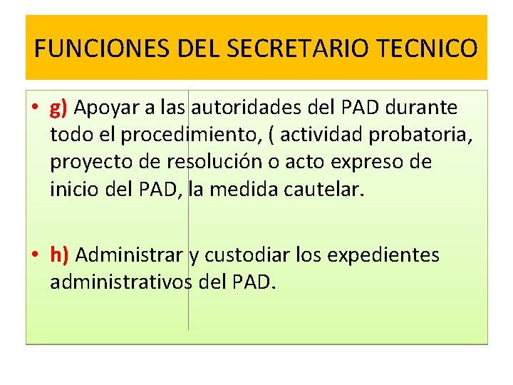 FUNCIONES DEL SECRETARIO TECNICO • g) Apoyar a las autoridades del PAD durante todo
